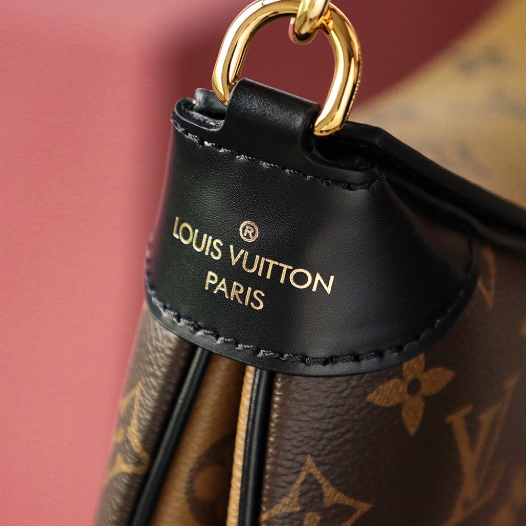 Louis Vuitton 𝙏𝙬𝙞𝙣𝙣𝙮 - Rachellebags