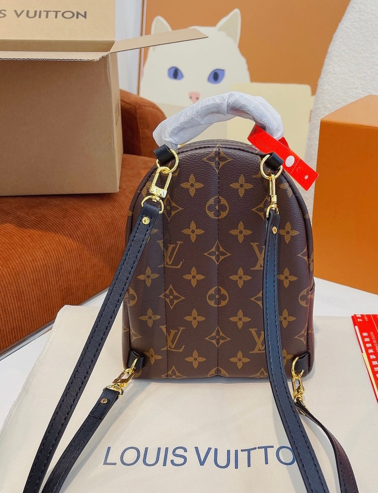 Louis Vuitton mini bag