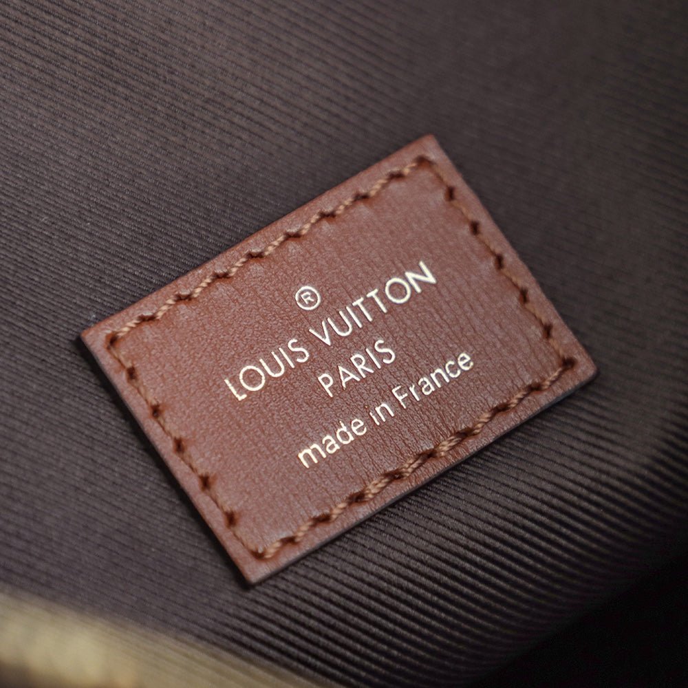 Louis Vuitton 𝐋𝐎𝐎𝐏 𝐇𝐎𝐁𝐎 catwalk style - Rachellebags