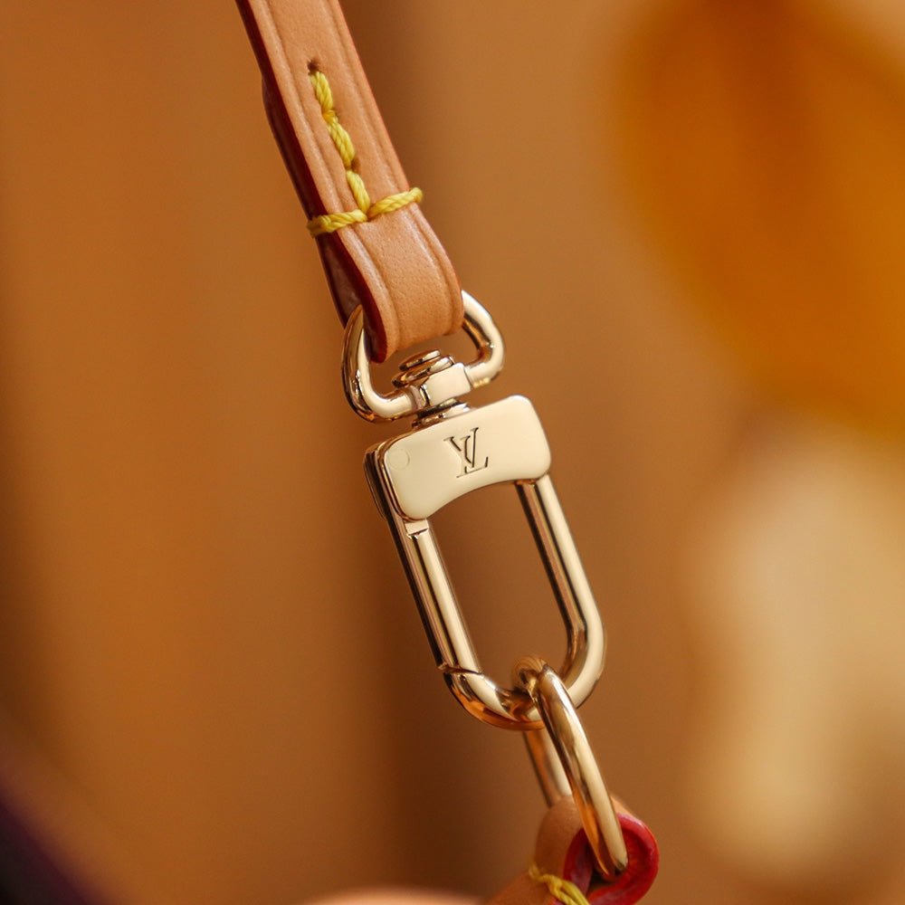 Louis Vuitton 𝐂𝐀𝐑𝐑𝐘𝐀𝐋𝐋 Medium - Rachellebags