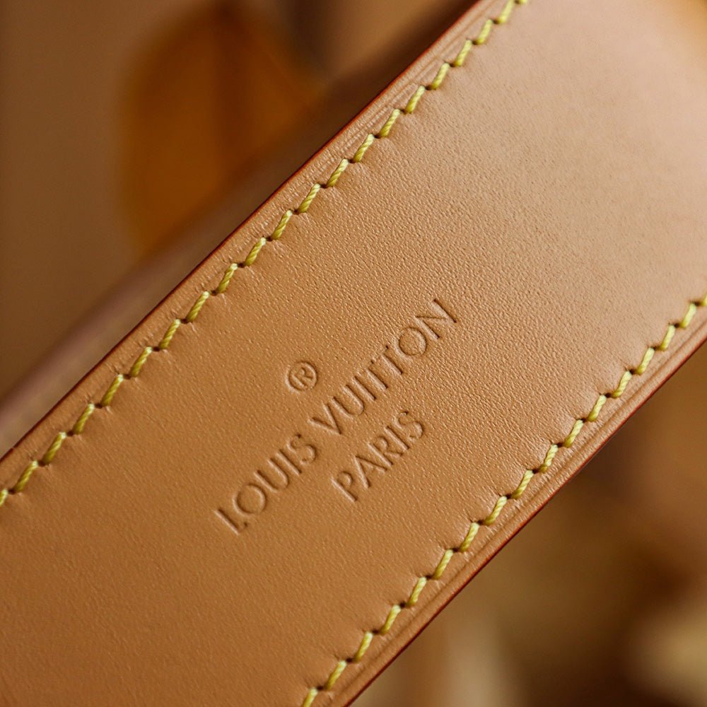 Louis Vuitton 𝐂𝐀𝐑𝐑𝐘𝐀𝐋𝐋 Medium - Rachellebags