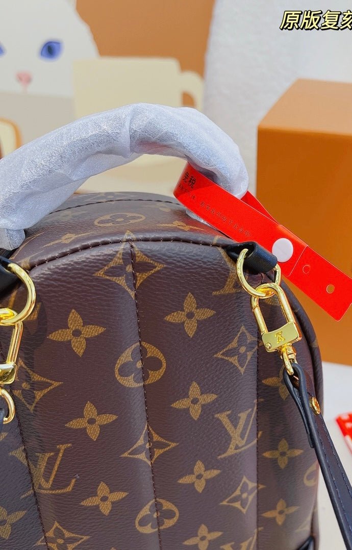 Louis Vuitton mini bag - Rachellebags