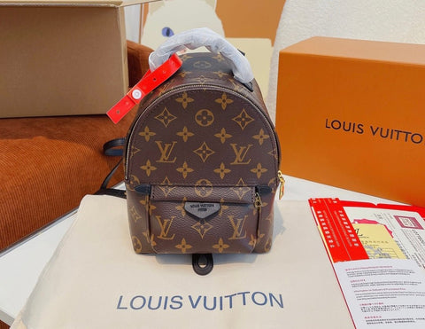 Louis Vuitton mini bag - Rachellebags